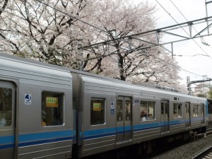 ひな祭りの臨時バス