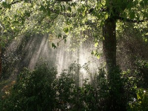高尾山で雨が降った場合