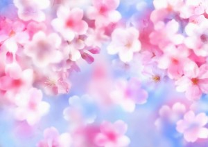 花見&ピクニック関東