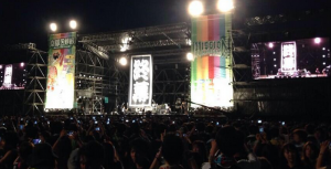 関西の夏フェス!2015年