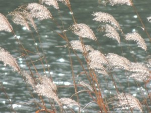 秋分の日の歴史