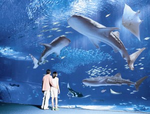 ゴールデンウィークの沖縄は混む