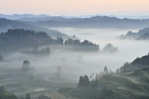 霞