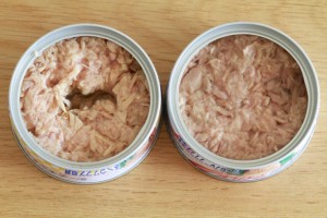 シーチキン