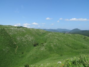 国立公園