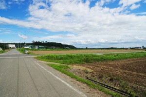 春野菜の由来
