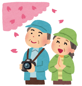 三春の滝桜でお花見